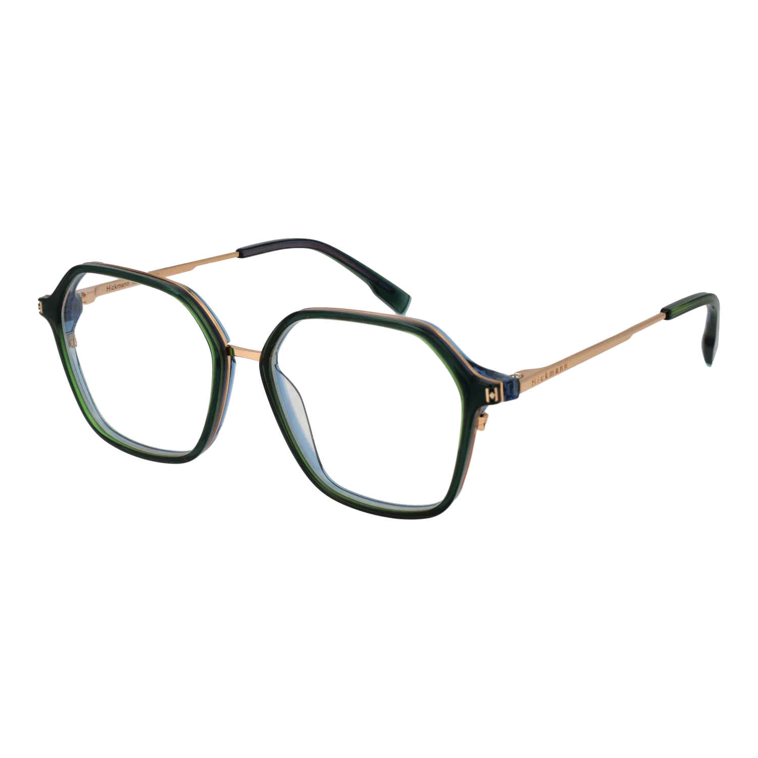 Ana Hickmann Optical Frame HI6254 T01 52
