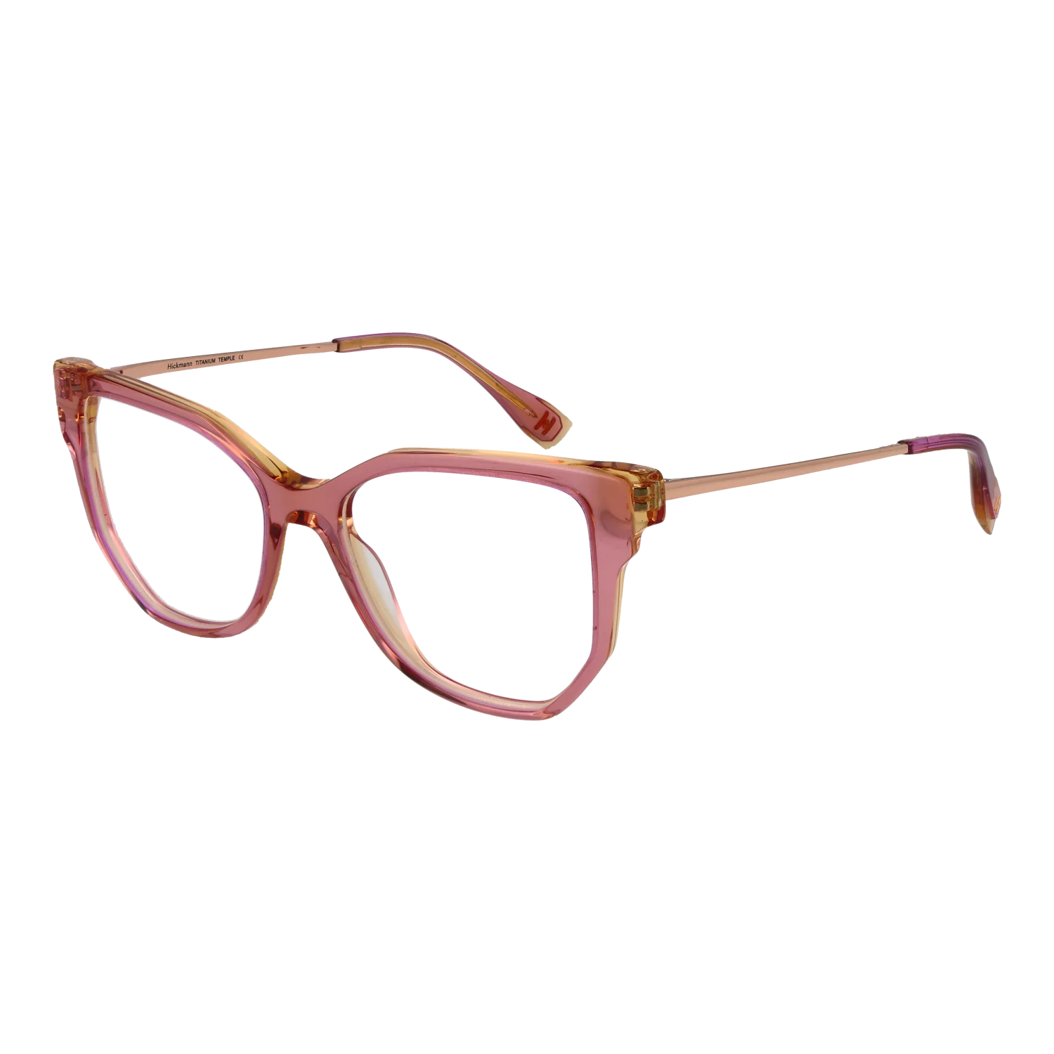 Ana Hickmann Optical Frame HI6292T H02 51 Titanium