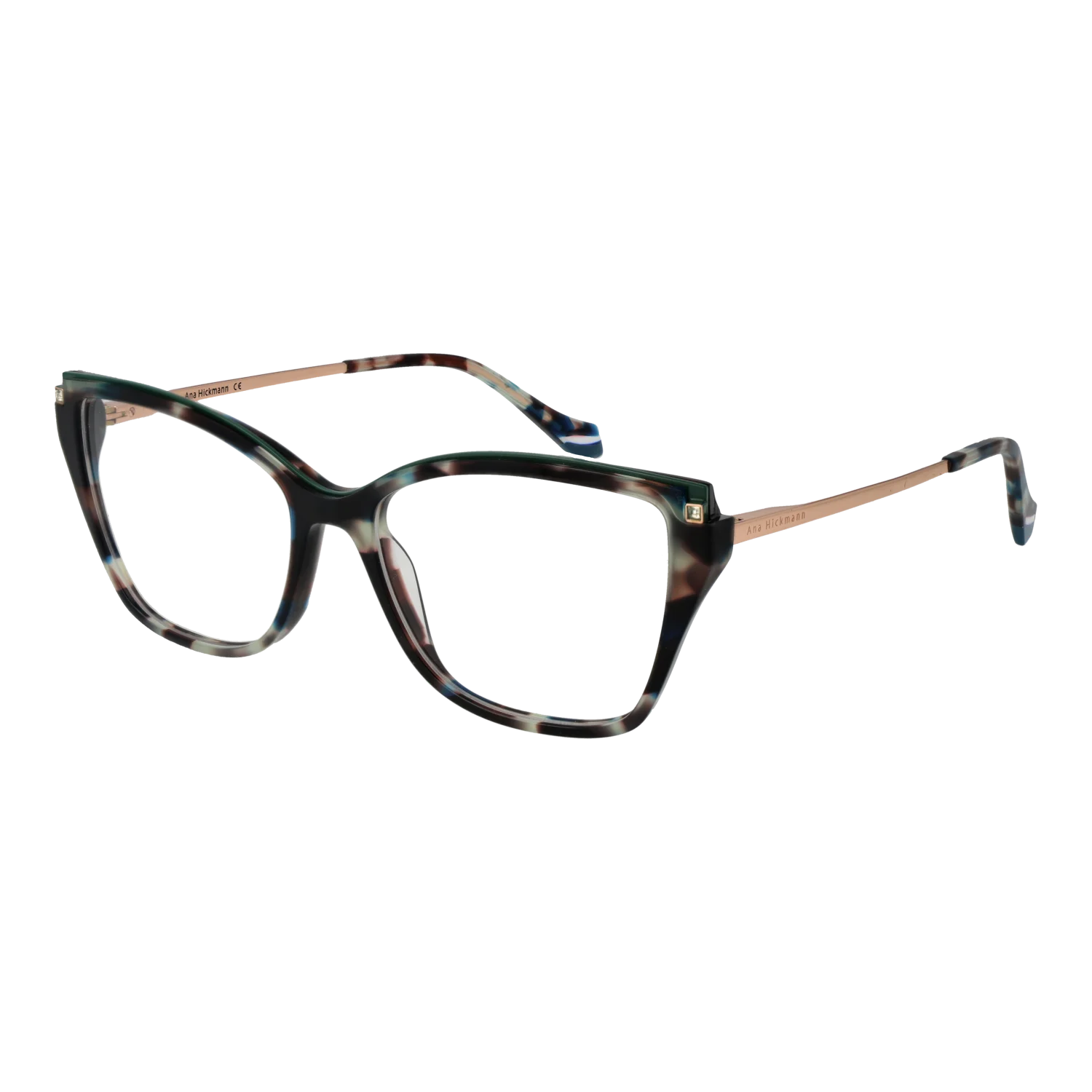 Ana Hickmann Optical Frame AH6476 G22 55