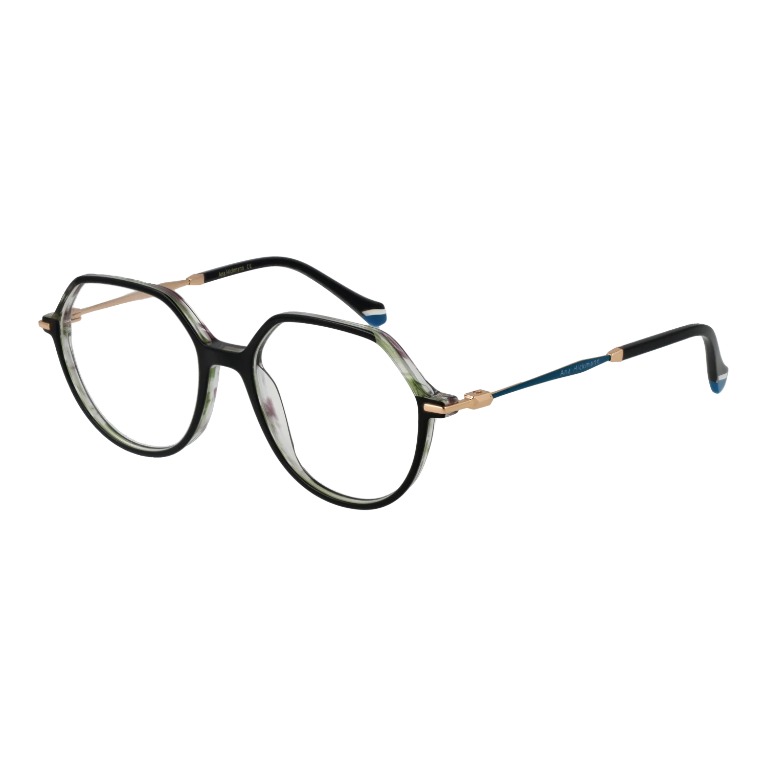 Ana Hickmann Optical Frame AH6480 H01 52