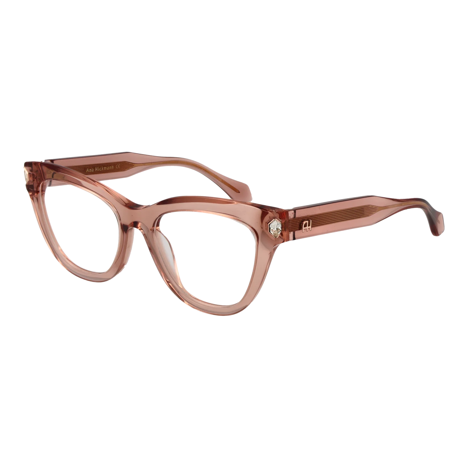 Ana Hickmann Optical Frame AH6503 T02 51
