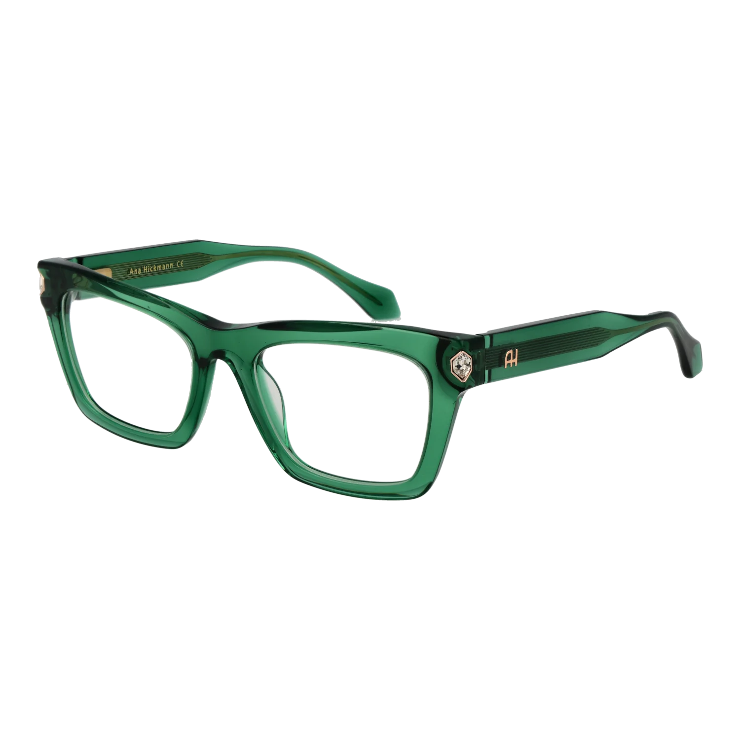 Ana Hickmann Optical Frame AH6504 T01 52
