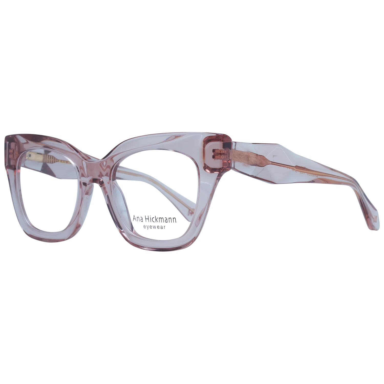 Ana Hickmann Optical Frame AH6523 T02 50