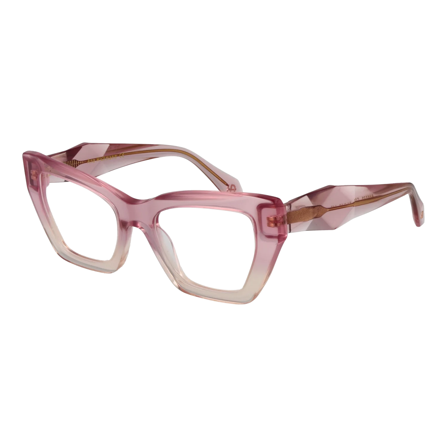 Ana Hickmann Optical Frame AH6525 C02 51