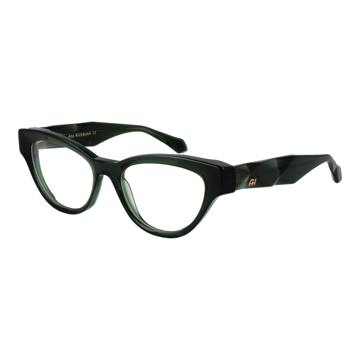 Ana Hickmann Optical Frame AH6542 T01 50