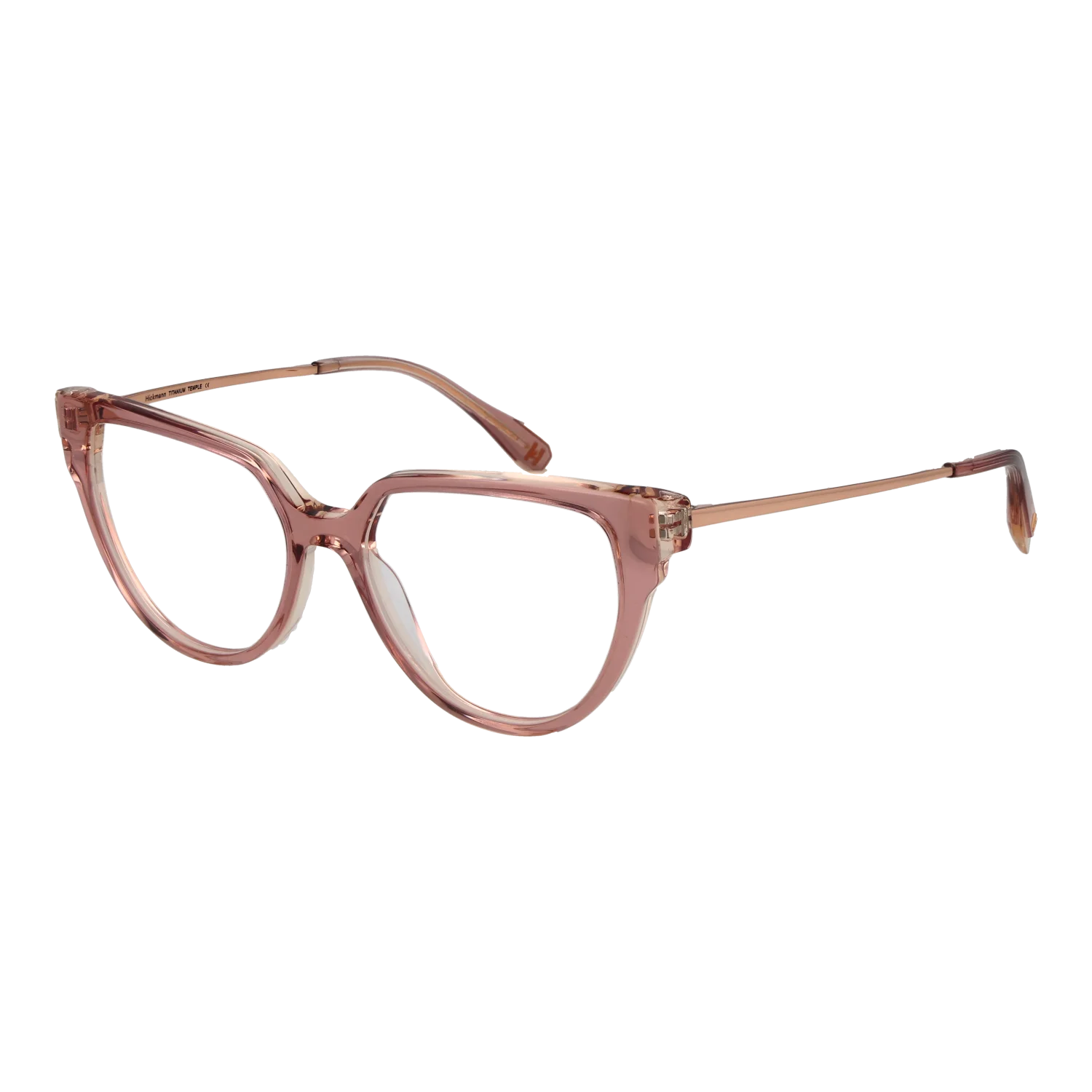 Ana Hickmann Optical Frame HI6290T H02 51 Titanium