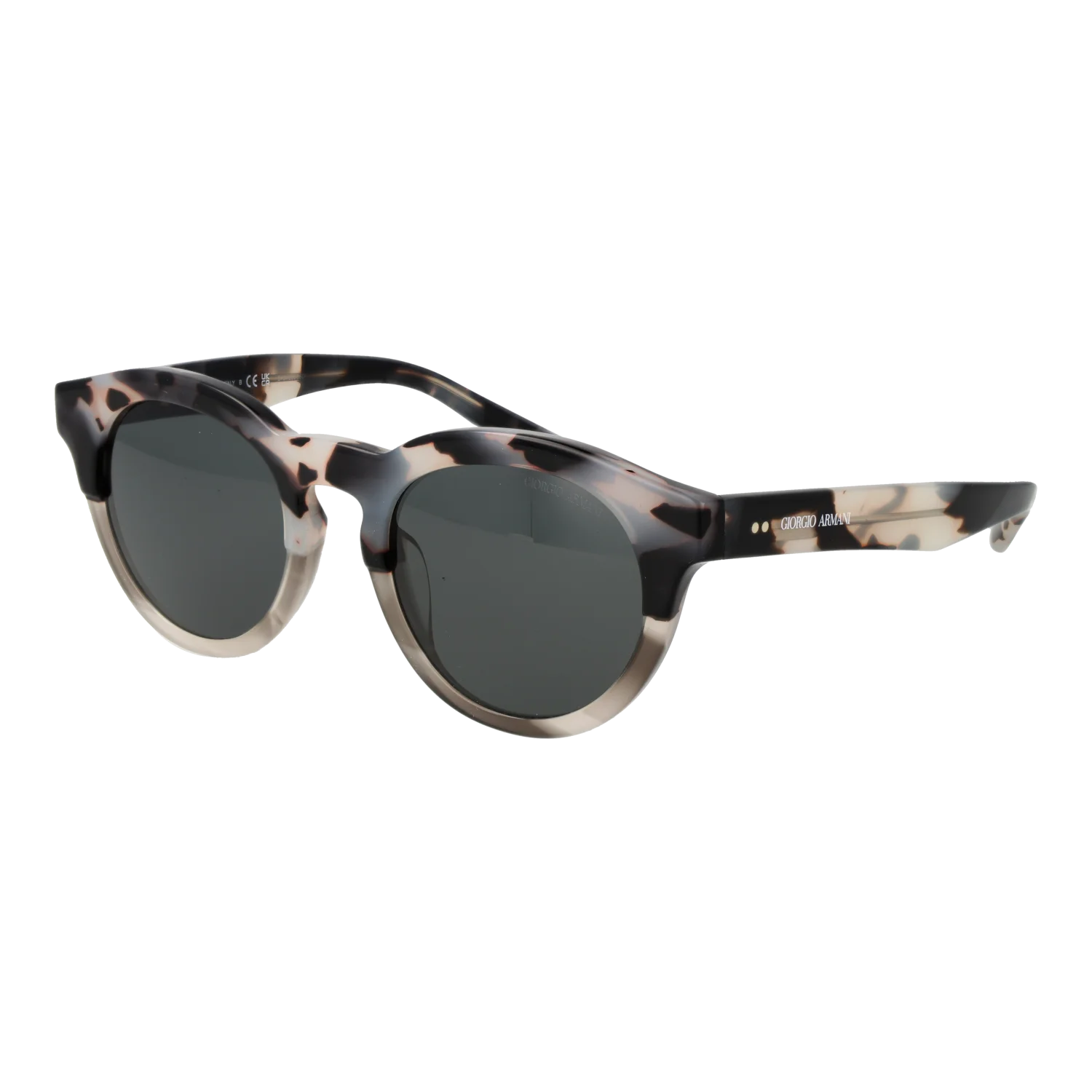 Giorgio Armani Sunglasses 0AR8189U 600987 51